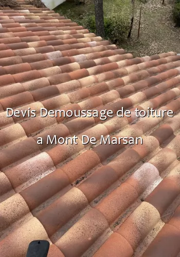 Devis Demoussage de toiture a Mont De Marsan