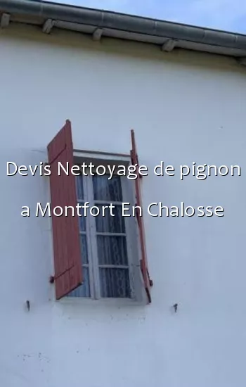 Devis Nettoyage de pignon a Montfort En Chalosse