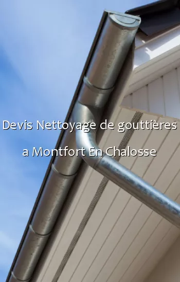 Devis Nettoyage de gouttières a Montfort En Chalosse