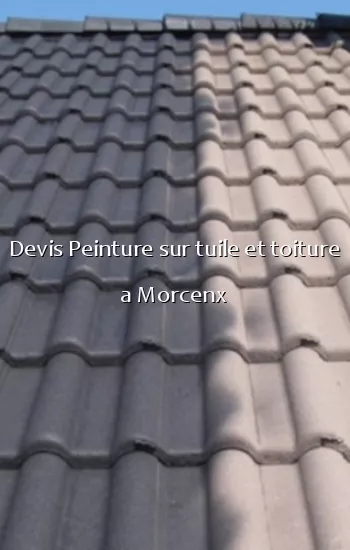 Devis Peinture sur tuile et toiture a Morcenx