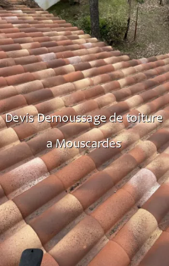 Devis Demoussage de toiture a Mouscardes