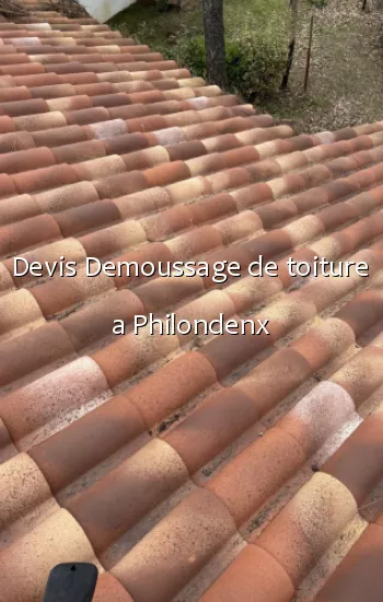 Devis Demoussage de toiture a Philondenx