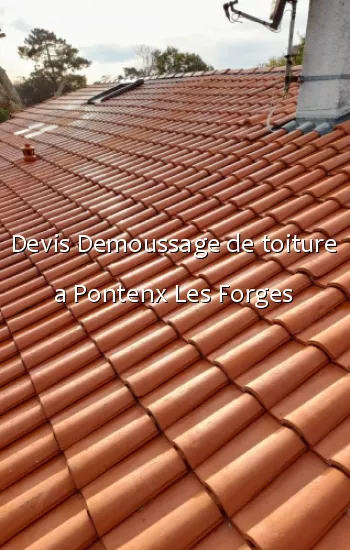 Devis Demoussage de toiture a Pontenx Les Forges