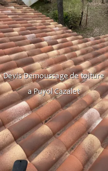 Devis Demoussage de toiture a Puyol Cazalet