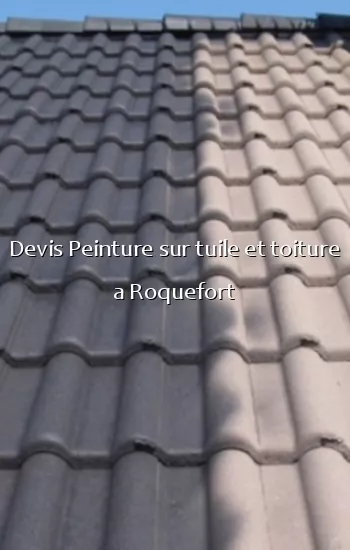 Devis Peinture sur tuile et toiture a Roquefort