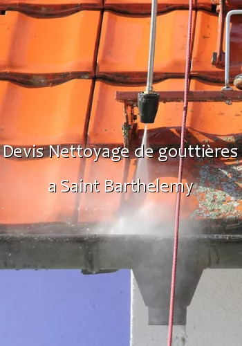 Devis Nettoyage de gouttières a Saint Barthelemy