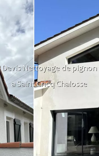 Devis Nettoyage de pignon a Saint Cricq Chalosse