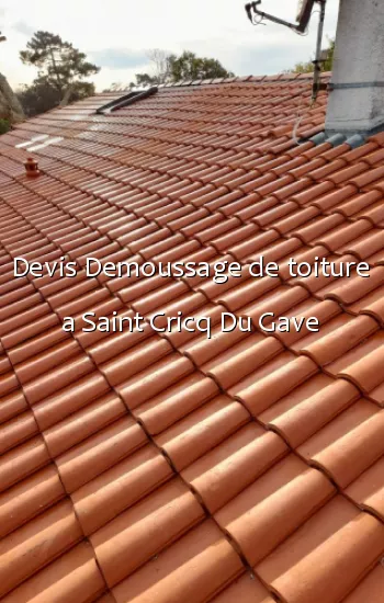 Devis Demoussage de toiture a Saint Cricq Du Gave