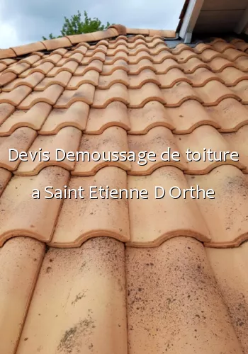 Devis Demoussage de toiture a Saint Etienne D Orthe