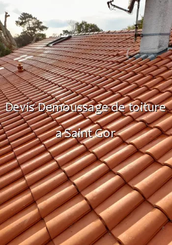 Devis Demoussage de toiture a Saint Gor