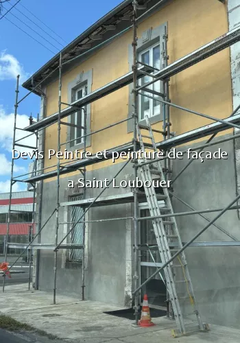 Devis Peintre et peinture de façade a Saint Loubouer