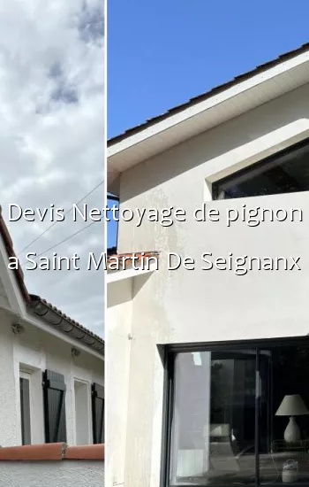 Devis Nettoyage de pignon a Saint Martin De Seignanx