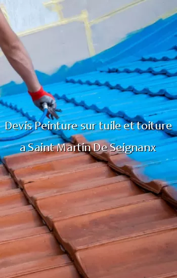 Devis Peinture sur tuile et toiture a Saint Martin De Seignanx