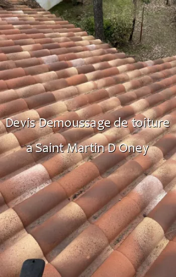 Devis Demoussage de toiture a Saint Martin D Oney