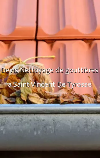 Devis Nettoyage de gouttières a Saint Vincent De Tyrosse