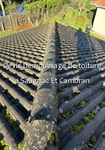 Devis Demoussage de toiture a Saugnac Et Cambran