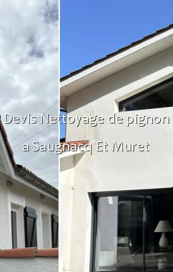 Devis Nettoyage de pignon a Saugnacq Et Muret