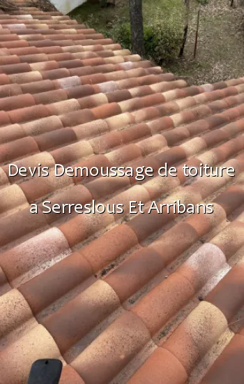 Devis Demoussage de toiture a Serreslous Et Arribans