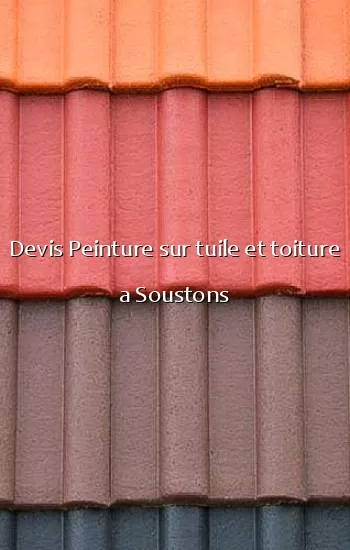 Devis Peinture sur tuile et toiture a Soustons