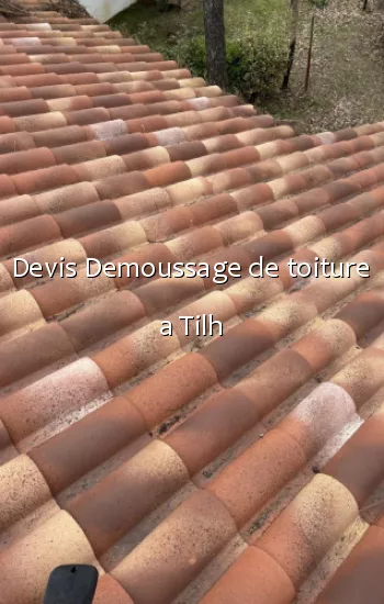 Devis Demoussage de toiture a Tilh